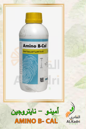 صورة أمينو بي كال