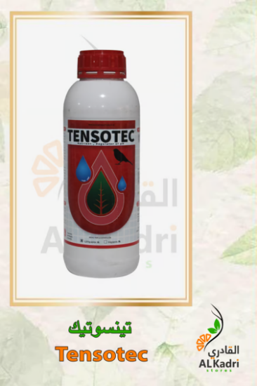 صورة تينسوتيك